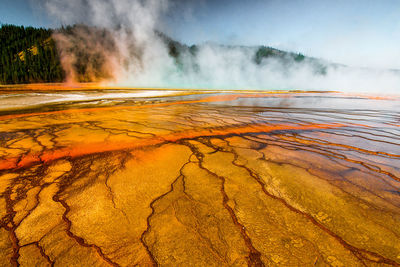 Scenic view of waterfall
