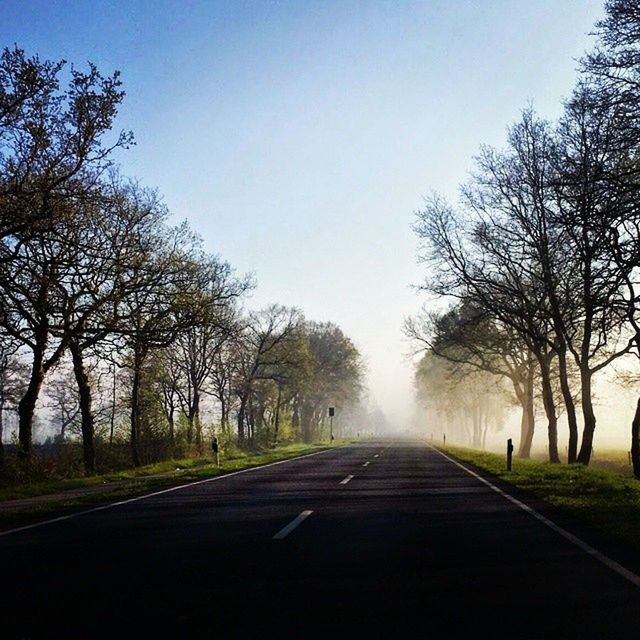 the way forward, tree, transportation, road, clear sky, diminishing perspective, vanishing point, road marking, country road, empty, bare tree, tranquility, copy space, empty road, long, tranquil scene, sky, treelined, nature, asphalt