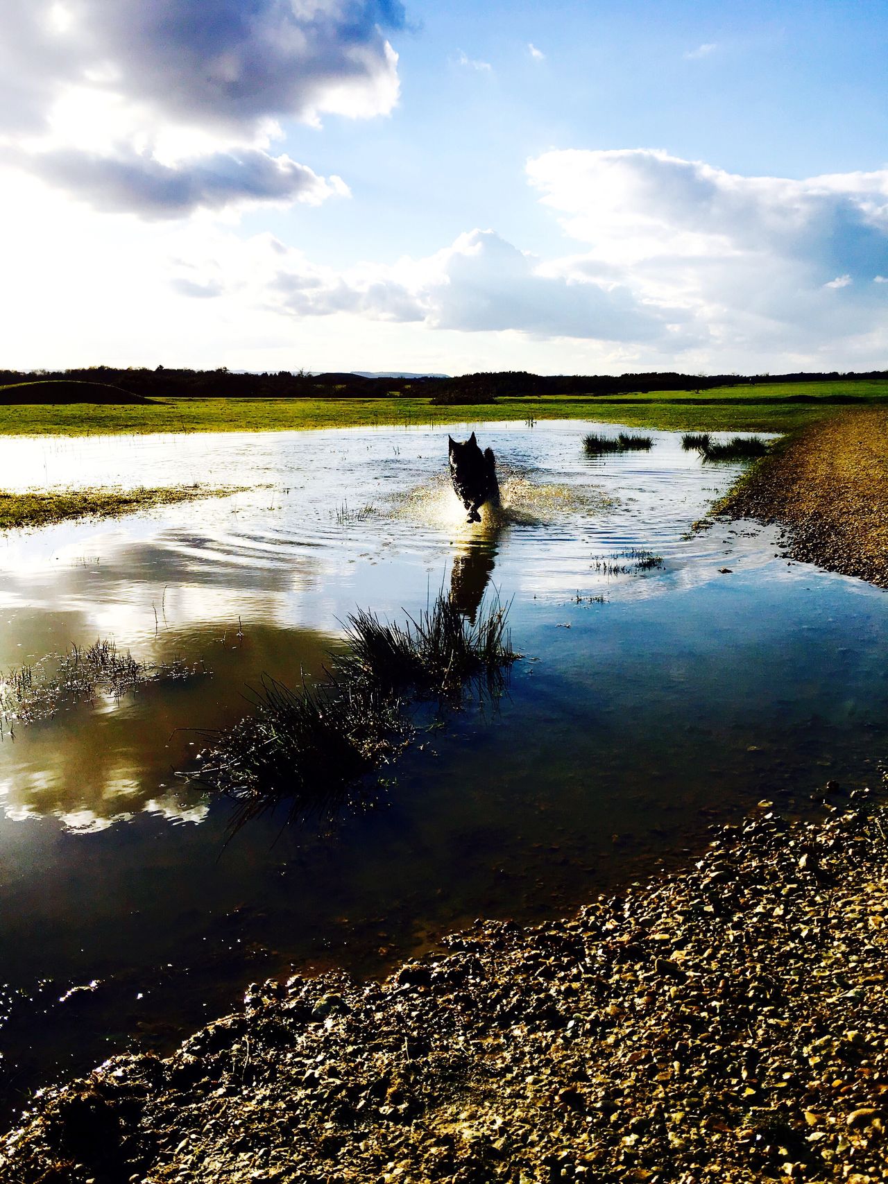 Greenham Common