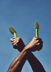 Close-up of hand holding plant against blue sky