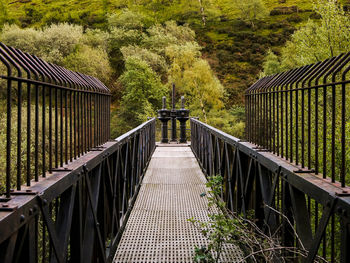 Footbridge amidst trees in forest