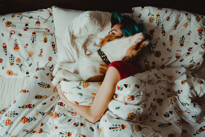 High angle view of dog sleeping on bed