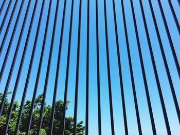 Low angle view of metal grate and tree against clear blue sky