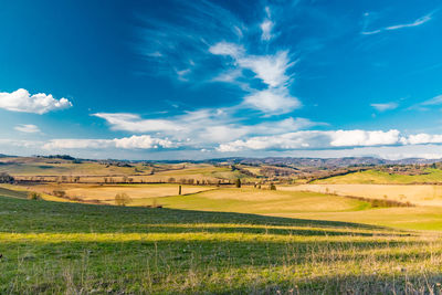 Scenic view of field against blue sky