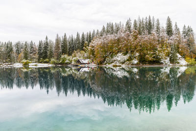 Reflection of trees in lake against sky