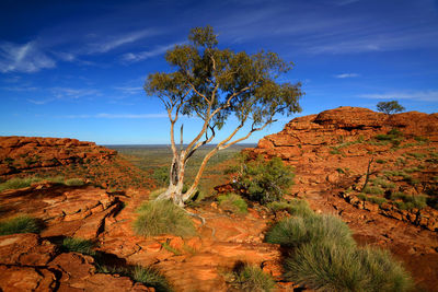 The vast australian outback, viewed at kings canyon, northern territory