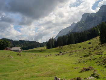 Scenic view of grassy field against sky