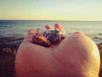 Close-up of hand holding shell on beach against sky