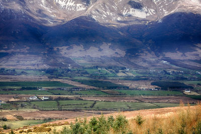 Scenic view of agricultural field