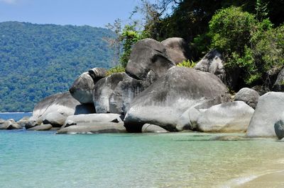 View of elephant in water against sky