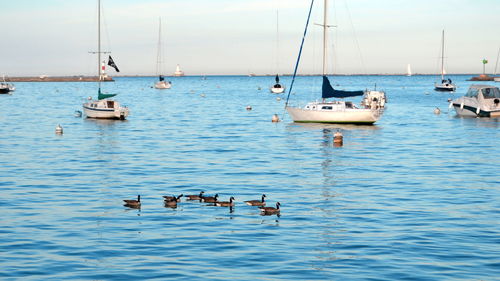 Sailboats moored on sea against sky
