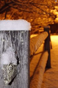 Close-up of snow on wood