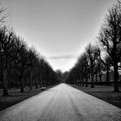 Road amidst bare trees against clear sky