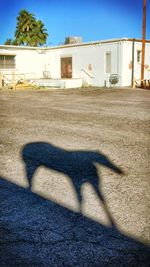 Shadow of built structure on sunny day