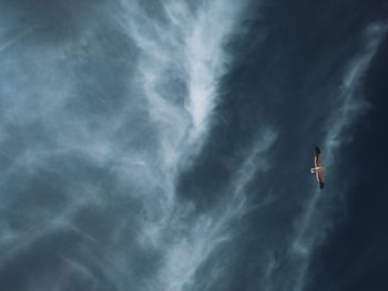 Low angle view of airplane flying in sky