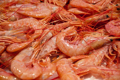 Full frame shot of prawns