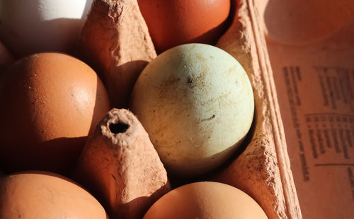 Selective focus view at a box with eggs in brown green and white colors