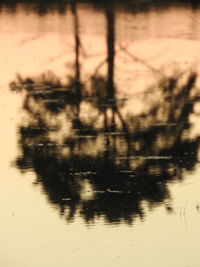 Silhouette trees by lake against sky during sunset