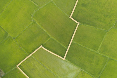 Full frame shot of agricultural field