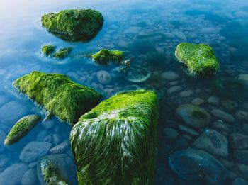 High angle view of rocks in sea