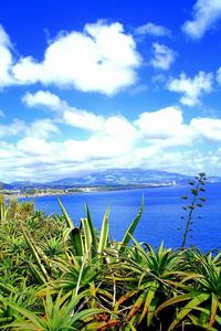 Scenic view of lake against cloudy sky