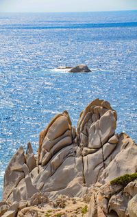 View of crab on rock by sea against sky