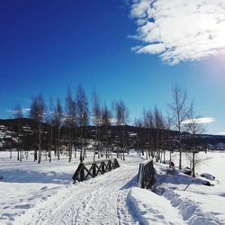 Trees on snow covered landscape against blue sky