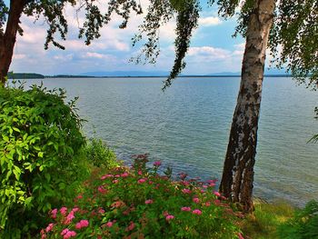 Scenic view of lake against sky