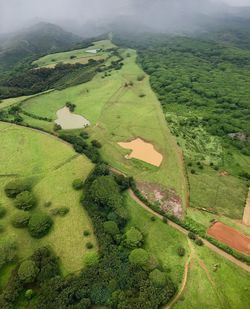 High angle view of agricultural field