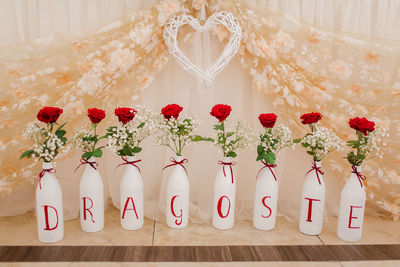 High angle view of flowering plant on table