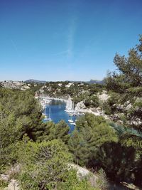 Scenic view of river amidst trees against clear blue sky