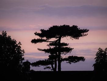 Low angle view of silhouette trees against sky during sunset