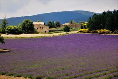 Built structure on field against sky