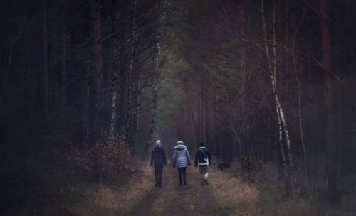 Rear view of friends walking in forest