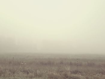 Scenic view of field against sky during foggy weather