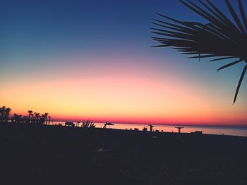 Silhouette palm trees on beach against sky during sunset