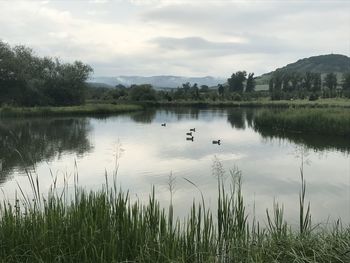 Scenic view of lake against sky