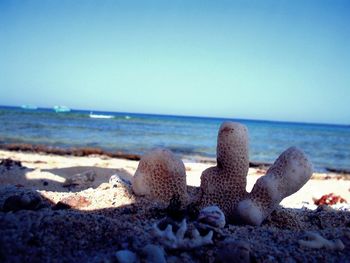 Close-up of pebbles on beach against clear sky