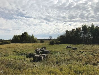 Scenic view of field against sky