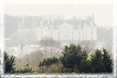 Trees and buildings against sky during winter