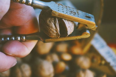 Close-up of hand breaking walnut