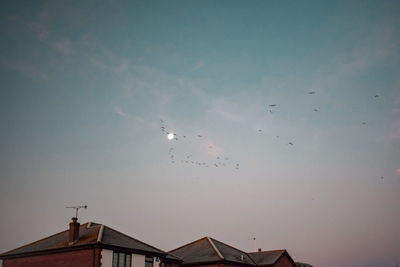 Low angle view of birds flying against sky