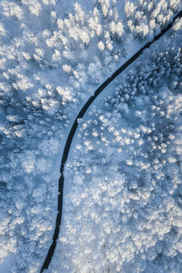 Low angle view of snow covered plants against sky