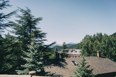 Trees and houses against sky