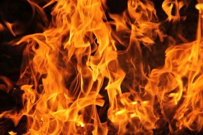 Close-up of bonfire at night