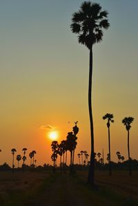 Silhouette palm trees against sky during sunset