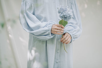 Midsection of woman holding blue hydrangeas against white background