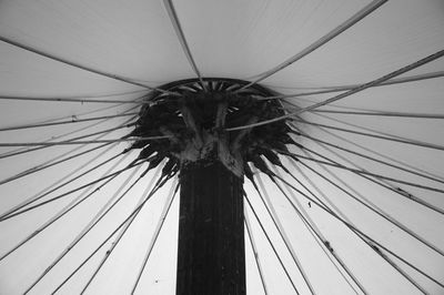 Low angle view of palm tree against the sky