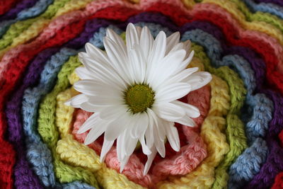 Full frame shot of white flower by crochet pattern