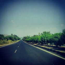 Empty road along trees